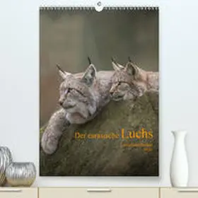 Becker |  Der eurasische Luchs(Premium, hochwertiger DIN A2 Wandkalender 2020, Kunstdruck in Hochglanz) | Sonstiges |  Sack Fachmedien
