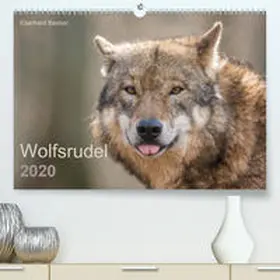 Becker |  Wolfsrudel(Premium, hochwertiger DIN A2 Wandkalender 2020, Kunstdruck in Hochglanz) | Sonstiges |  Sack Fachmedien