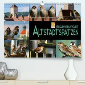 Bleicher |  Regensburger Altstadtspatzen(Premium, hochwertiger DIN A2 Wandkalender 2020, Kunstdruck in Hochglanz) | Sonstiges |  Sack Fachmedien