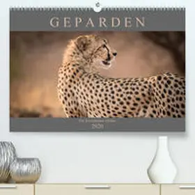Pavlowsky |  Geparden - Die Schönheiten Afrikas(Premium, hochwertiger DIN A2 Wandkalender 2020, Kunstdruck in Hochglanz) | Sonstiges |  Sack Fachmedien
