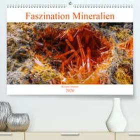 Störmer |  Faszination Mineralien(Premium, hochwertiger DIN A2 Wandkalender 2020, Kunstdruck in Hochglanz) | Sonstiges |  Sack Fachmedien