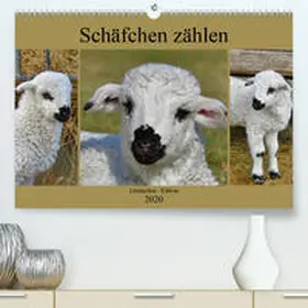 Löwer |  Schäfchen zählen - Lämmchen-Edition(Premium, hochwertiger DIN A2 Wandkalender 2020, Kunstdruck in Hochglanz) | Sonstiges |  Sack Fachmedien