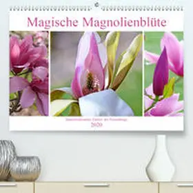 B-B Müller |  Magische Magnolienblüte(Premium, hochwertiger DIN A2 Wandkalender 2020, Kunstdruck in Hochglanz) | Sonstiges |  Sack Fachmedien