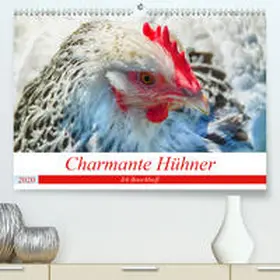 Boockhoff |  Charmante Hühner(Premium, hochwertiger DIN A2 Wandkalender 2020, Kunstdruck in Hochglanz) | Sonstiges |  Sack Fachmedien