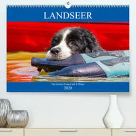 Starick |  Landseer - Ein starker Freund auf 4 Pfoten(Premium, hochwertiger DIN A2 Wandkalender 2020, Kunstdruck in Hochglanz) | Sonstiges |  Sack Fachmedien