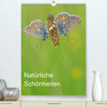 Blum |  Insekten,Schönheiten der Natur(Premium, hochwertiger DIN A2 Wandkalender 2020, Kunstdruck in Hochglanz) | Sonstiges |  Sack Fachmedien
