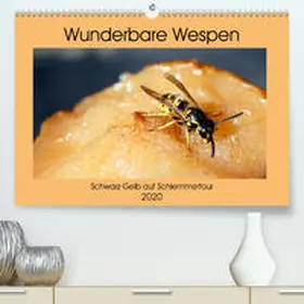 von Loewis of Menar |  Wunderbare Wespen - Schwarz-Gelb auf Schlemmertour(Premium, hochwertiger DIN A2 Wandkalender 2020, Kunstdruck in Hochglanz) | Sonstiges |  Sack Fachmedien