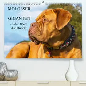 Starick |  Molosser - Giganten in der Welt der Hunde(Premium, hochwertiger DIN A2 Wandkalender 2020, Kunstdruck in Hochglanz) | Sonstiges |  Sack Fachmedien