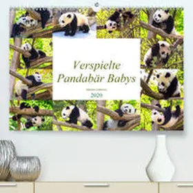 Gatterwe |  Pandabär Babys(Premium, hochwertiger DIN A2 Wandkalender 2020, Kunstdruck in Hochglanz) | Sonstiges |  Sack Fachmedien