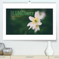Jansen |  BlumenBlick(Premium, hochwertiger DIN A2 Wandkalender 2020, Kunstdruck in Hochglanz) | Sonstiges |  Sack Fachmedien