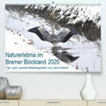 Siebert |  Naturerlebnis im Bremer Blockland(Premium, hochwertiger DIN A2 Wandkalender 2020, Kunstdruck in Hochglanz) | Sonstiges |  Sack Fachmedien