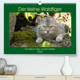 Brack |  Der kleine Waldtiger(Premium, hochwertiger DIN A2 Wandkalender 2020, Kunstdruck in Hochglanz) | Sonstiges |  Sack Fachmedien