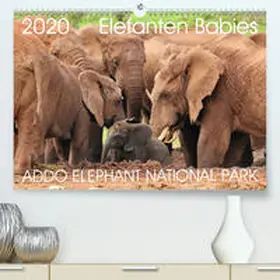 Fraatz |  ADDO ELEPHANT NATIONAL PARK Elefanten Babies(Premium, hochwertiger DIN A2 Wandkalender 2020, Kunstdruck in Hochglanz) | Sonstiges |  Sack Fachmedien