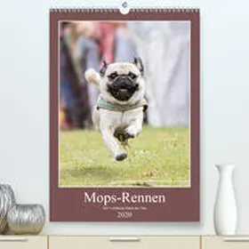 Teßen |  Mops-Rennen(Premium, hochwertiger DIN A2 Wandkalender 2020, Kunstdruck in Hochglanz) | Sonstiges |  Sack Fachmedien