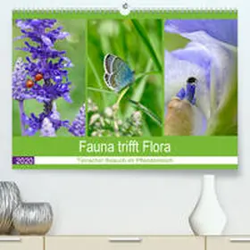 B-B Müller |  Fauna trifft Flora - Tierischer Besuch im Pflanzenreich(Premium, hochwertiger DIN A2 Wandkalender 2020, Kunstdruck in Hochglanz) | Sonstiges |  Sack Fachmedien