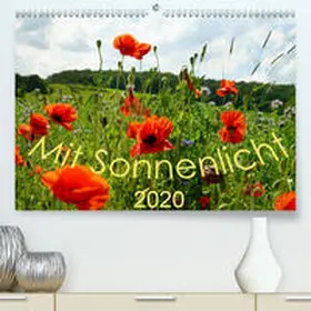 Schmidt |  Mit Sonnenlicht(Premium, hochwertiger DIN A2 Wandkalender 2020, Kunstdruck in Hochglanz) | Sonstiges |  Sack Fachmedien