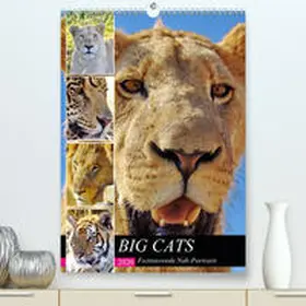 Fraatz |  BIG CATS Fazinierende Nah-Portraits(Premium, hochwertiger DIN A2 Wandkalender 2020, Kunstdruck in Hochglanz) | Sonstiges |  Sack Fachmedien