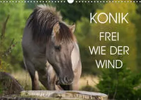 Starick |  Konik - Frei geboren (Wandkalender 2020 DIN A3 quer) | Sonstiges |  Sack Fachmedien