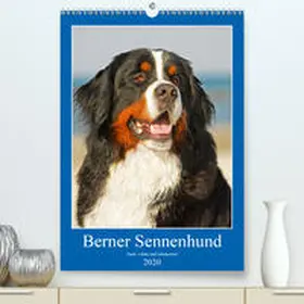 Starick |  Berner Sennenhund - stark , schön und liebenswert(Premium, hochwertiger DIN A2 Wandkalender 2020, Kunstdruck in Hochglanz) | Sonstiges |  Sack Fachmedien
