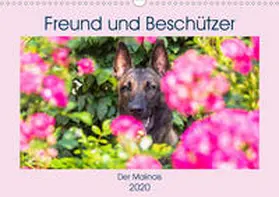 Starick |  Freund und Beschützer - Der Malinois (Wandkalender 2020 DIN A3 quer) | Sonstiges |  Sack Fachmedien