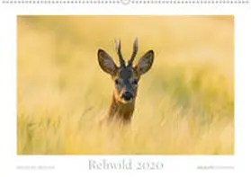 Breuer | Rehwild 2020 (Wandkalender 2020 DIN A2 quer) | Sonstiges | 978-3-671-38264-4 | www.sack.de