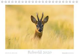 Breuer | Rehwild 2020 (Tischkalender 2020 DIN A5 quer) | Sonstiges | 978-3-671-38265-1 | www.sack.de