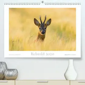 Breuer |  Rehwild 2020(Premium, hochwertiger DIN A2 Wandkalender 2020, Kunstdruck in Hochglanz) | Sonstiges |  Sack Fachmedien