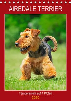 Starick |  Airedale Terrier - Temperament auf 4 Pfoten (Tischkalender 2020 DIN A5 hoch) | Sonstiges |  Sack Fachmedien