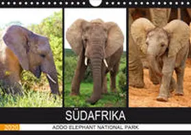 Fraatz |  ADDO ELEPHANT NATIONAL PARK  SÜDAFRIKA (Wandkalender 2020 DIN A4 quer) | Sonstiges |  Sack Fachmedien