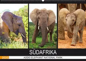 Fraatz |  ADDO ELEPHANT NATIONAL PARK  SÜDAFRIKA (Wandkalender 2020 DIN A2 quer) | Sonstiges |  Sack Fachmedien