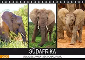 Fraatz |  ADDO ELEPHANT NATIONAL PARK  SÜDAFRIKA (Tischkalender 2020 DIN A5 quer) | Sonstiges |  Sack Fachmedien
