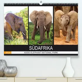 Fraatz |  ADDO ELEPHANT NATIONAL PARK  SÜDAFRIKA(Premium, hochwertiger DIN A2 Wandkalender 2020, Kunstdruck in Hochglanz) | Sonstiges |  Sack Fachmedien