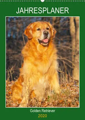 Starick |  Jahresplaner Golden Retriever (Wandkalender 2020 DIN A2 hoch) | Sonstiges |  Sack Fachmedien