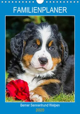 Starick |  Familienplaner Berner Sennenhund Welpen (Wandkalender 2020 DIN A4 hoch) | Sonstiges |  Sack Fachmedien