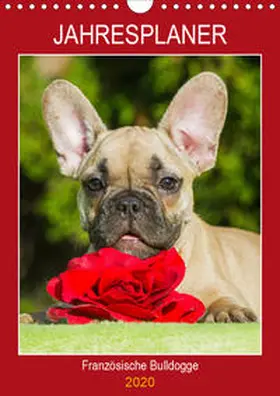 Starick |  Jahresplaner Französische Bulldogge (Wandkalender 2020 DIN A4 hoch) | Sonstiges |  Sack Fachmedien