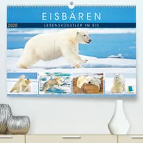 Calvendo / CALVENDO |  Eisbären: Lebenskünstler im Eis(Premium, hochwertiger DIN A2 Wandkalender 2020, Kunstdruck in Hochglanz) | Sonstiges |  Sack Fachmedien