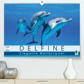 Calvendo / CALVENDO |  Delfine: Elegante Wellenreiter(Premium, hochwertiger DIN A2 Wandkalender 2020, Kunstdruck in Hochglanz) | Sonstiges |  Sack Fachmedien