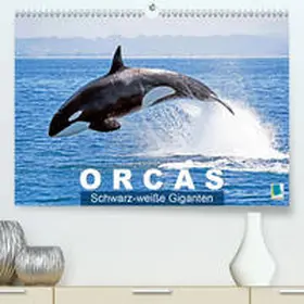 Calvendo / CALVENDO |  Orcas: Schwarz-weiße Giganten(Premium, hochwertiger DIN A2 Wandkalender 2020, Kunstdruck in Hochglanz) | Sonstiges |  Sack Fachmedien