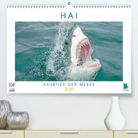 Calvendo / CALVENDO |  Hai: Raubtier der Meere(Premium, hochwertiger DIN A2 Wandkalender 2020, Kunstdruck in Hochglanz) | Sonstiges |  Sack Fachmedien