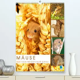 Calvendo / CALVENDO |  Zauberhafte Mäuse: Von wegen nur Grau(Premium, hochwertiger DIN A2 Wandkalender 2020, Kunstdruck in Hochglanz) | Sonstiges |  Sack Fachmedien