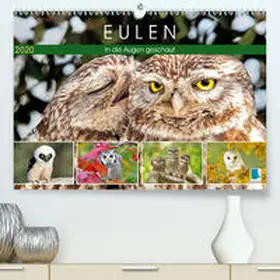 Calvendo / CALVENDO |  Eulen: In die Augen geschaut(Premium, hochwertiger DIN A2 Wandkalender 2020, Kunstdruck in Hochglanz) | Sonstiges |  Sack Fachmedien