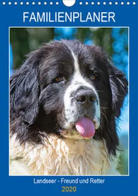 Starick |  Familienplaner Landseer - Freund und Retter (Wandkalender 2020 DIN A4 hoch) | Sonstiges |  Sack Fachmedien