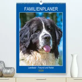 Starick |  Familienplaner Landseer - Freund und Retter(Premium, hochwertiger DIN A2 Wandkalender 2020, Kunstdruck in Hochglanz) | Sonstiges |  Sack Fachmedien