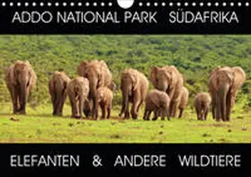 Fraatz |  ADDO NATIONAL PARK SÜDAFRIKA - ELEFANTEN & ANDERE WILDTIERE (Wandkalender 2020 DIN A4 quer) | Sonstiges |  Sack Fachmedien