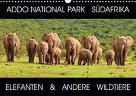 Fraatz |  ADDO NATIONAL PARK SÜDAFRIKA - ELEFANTEN & ANDERE WILDTIERE (Wandkalender 2020 DIN A3 quer) | Sonstiges |  Sack Fachmedien