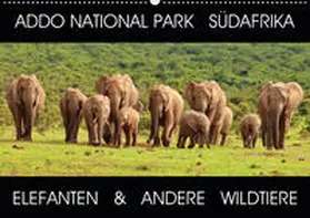 Fraatz |  ADDO NATIONAL PARK SÜDAFRIKA - ELEFANTEN & ANDERE WILDTIERE (Wandkalender 2020 DIN A2 quer) | Sonstiges |  Sack Fachmedien