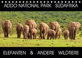 Fraatz |  ADDO NATIONAL PARK SÜDAFRIKA - ELEFANTEN & ANDERE WILDTIERE (Tischkalender 2020 DIN A5 quer) | Sonstiges |  Sack Fachmedien