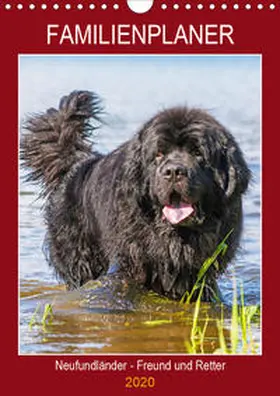 Starick |  Familienplaner Neufundländer - Freund und Retter (Wandkalender 2020 DIN A4 hoch) | Sonstiges |  Sack Fachmedien