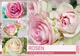Hurley |  Rosen. Charmante und edle Königinnen (Wandkalender 2020 DIN A2 quer) | Sonstiges |  Sack Fachmedien