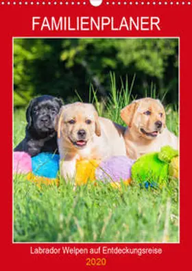 Starick |  Familienplaner - Labrador Welpen entdecken die Welt (Wandkalender 2020 DIN A3 hoch) | Sonstiges |  Sack Fachmedien